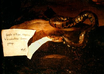 Drunken Silenus (detail) by Jusepe de Ribera